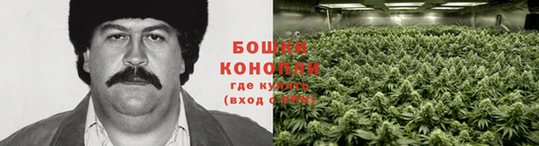 прущая мука Каменногорск