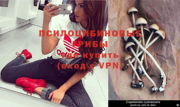 винт Каменск-Шахтинский
