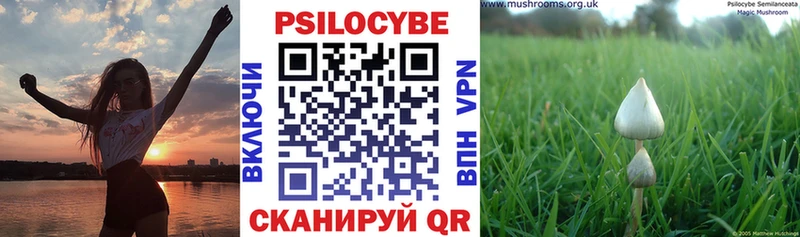 Псилоцибиновые грибы MAGIC MUSHROOMS  Купить закладки  Щучье 