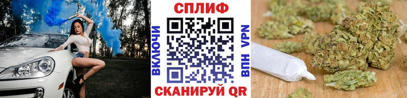 Бошки Шишки сатива Щучье